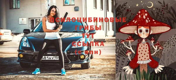 прущие крисы Абинск