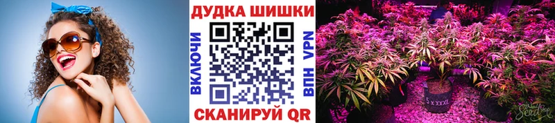 Каннабис сатива  купить   darknet телеграм  Чухлома 